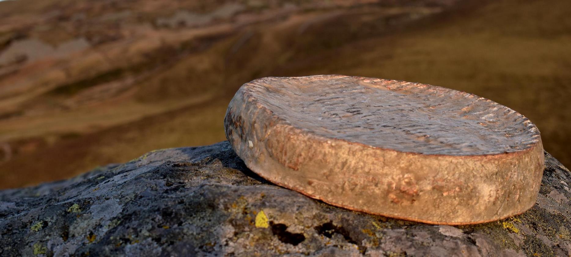 Saint Nectaire - famous cheese from the Saint Nectaire appellation