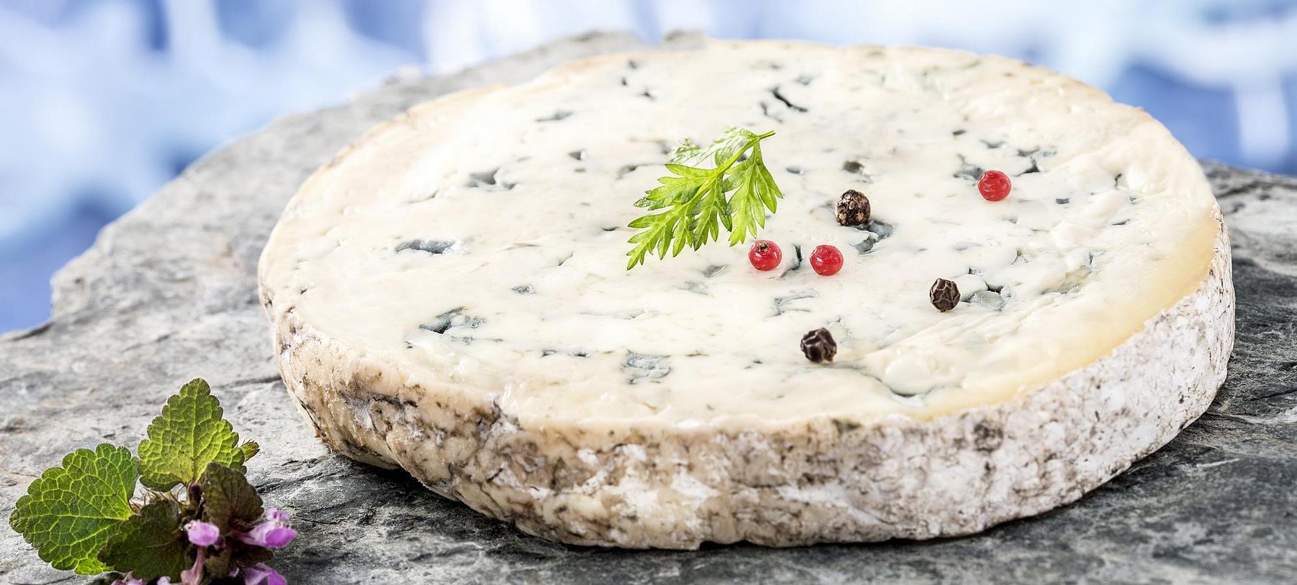 Fourme d'Ambert - AOC Auvergne cheese