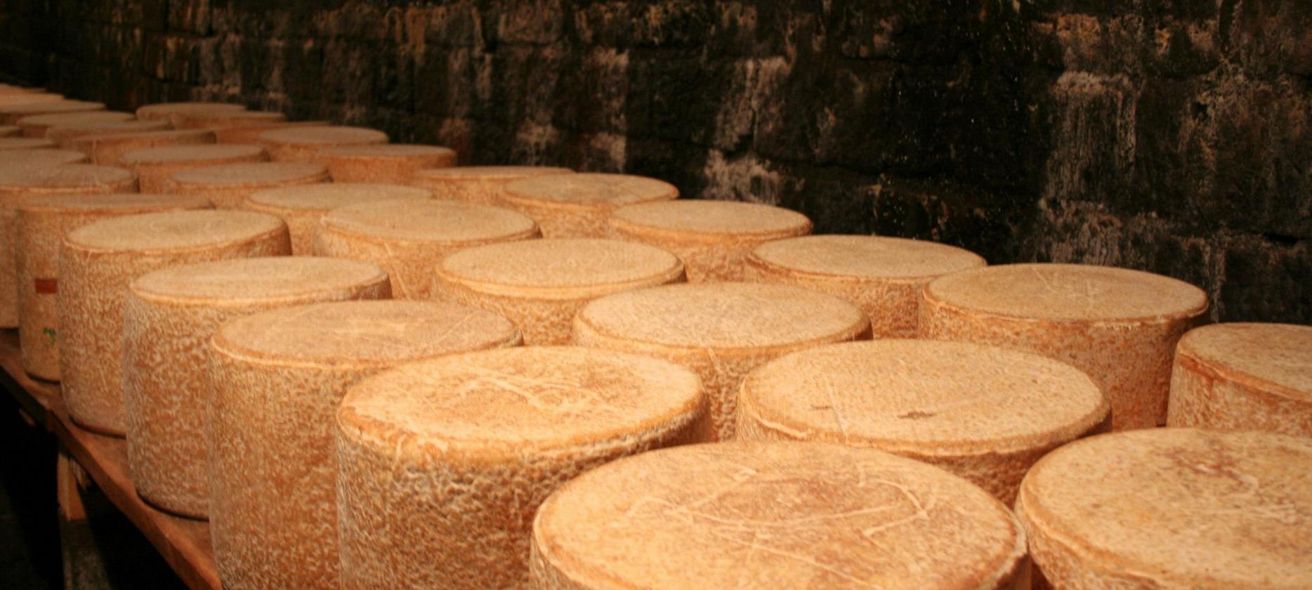 Le Cantal - AOC Auvergne cheese - Aging cellar