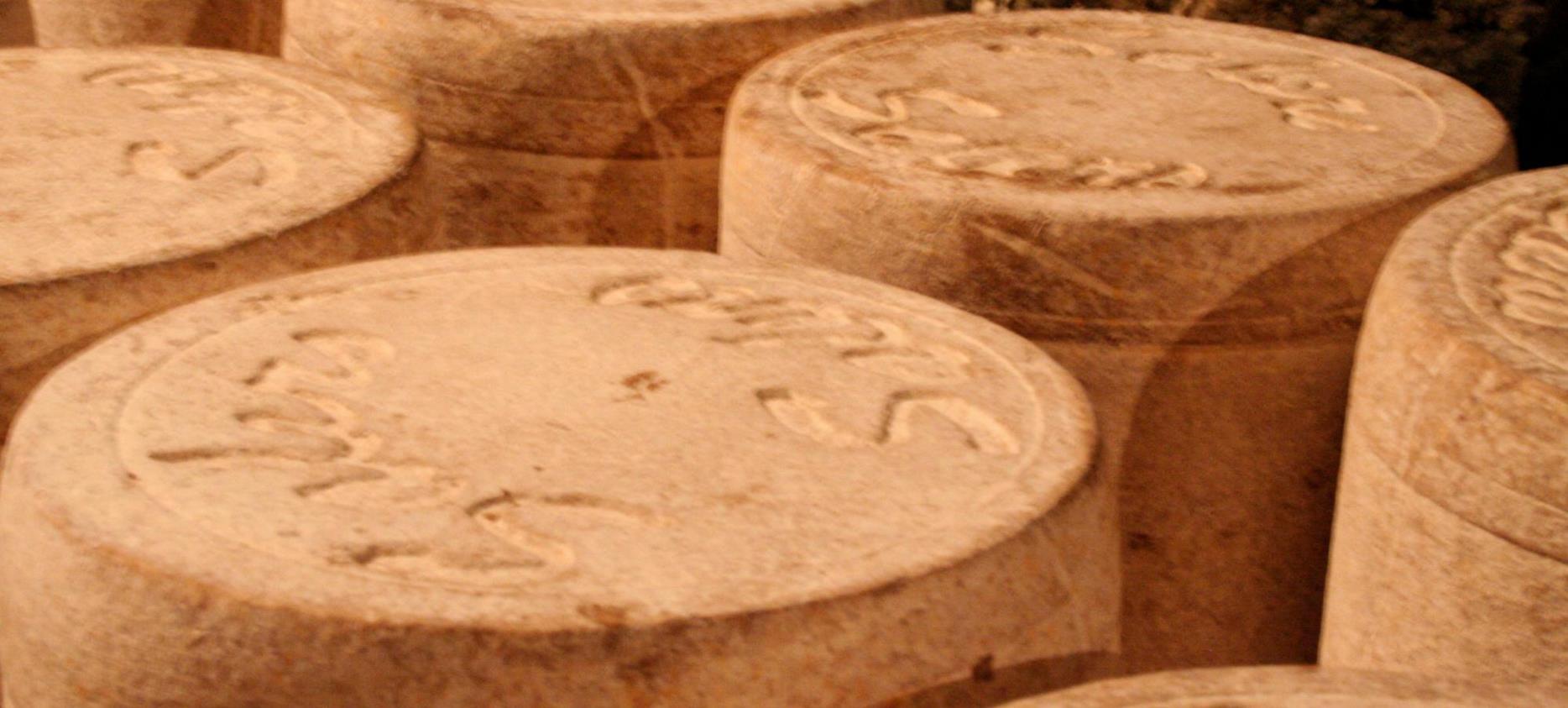 Le Salers - AOC Auvergne cheese - Aging cellar