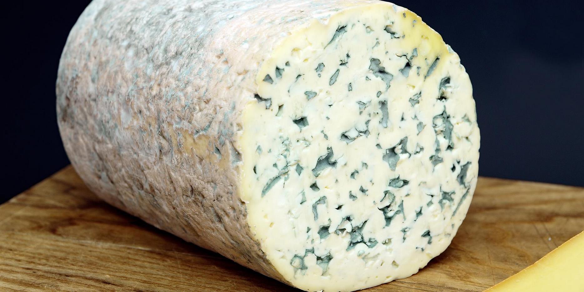 Fourme d'Ambert - AOC Auvergne cheese