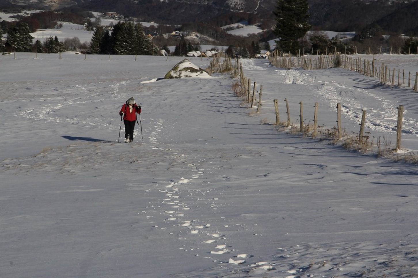 Snowshoeing in the Sancy massif