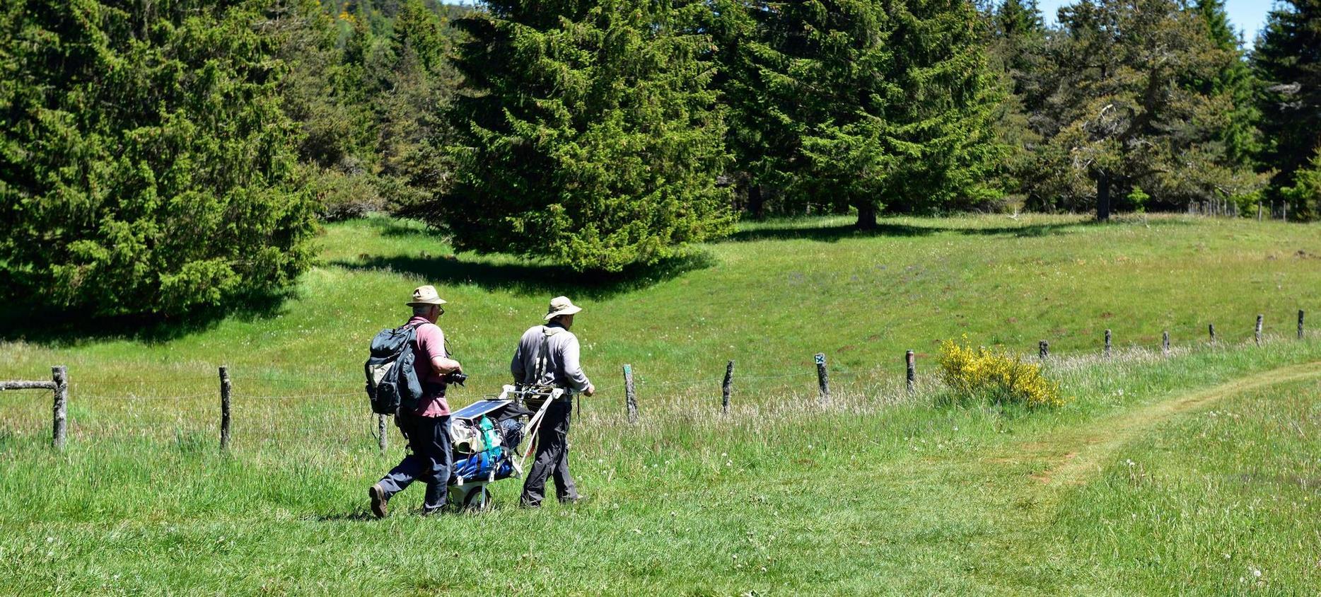 Super besse - Hiking couple in the meadows