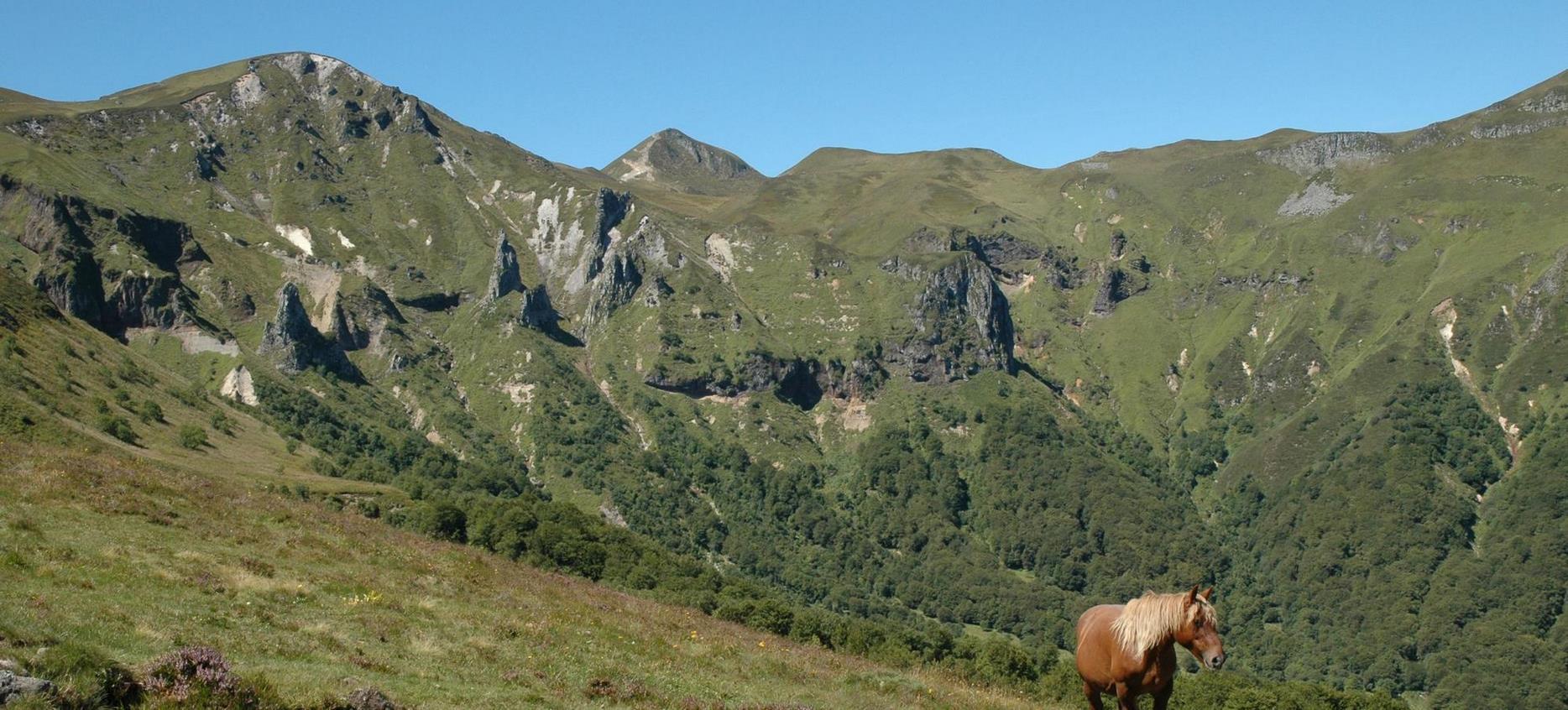 Super Besse - Horse in the Chaudefour Valley natural park