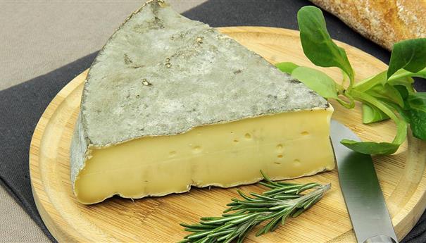Super Besse - tasting of AOC Saint Nectaire cheese