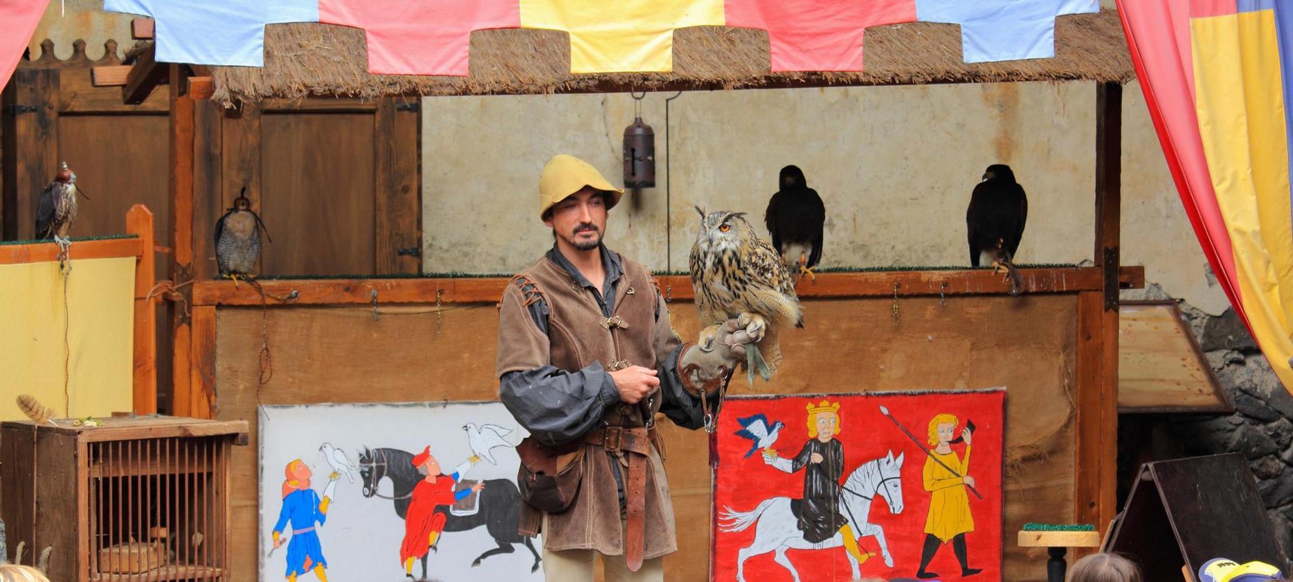 Falconry show at Murol castle