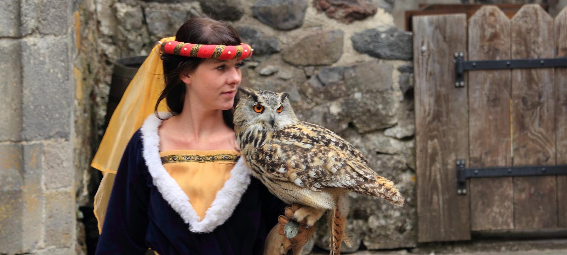 Super Besse - falconry work at the Fortress of Murol