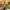 Chalet Super Besse ten people, the chandelier in the room Bois joli