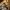 Chalet with view 10 people super besse, room Bois Joli