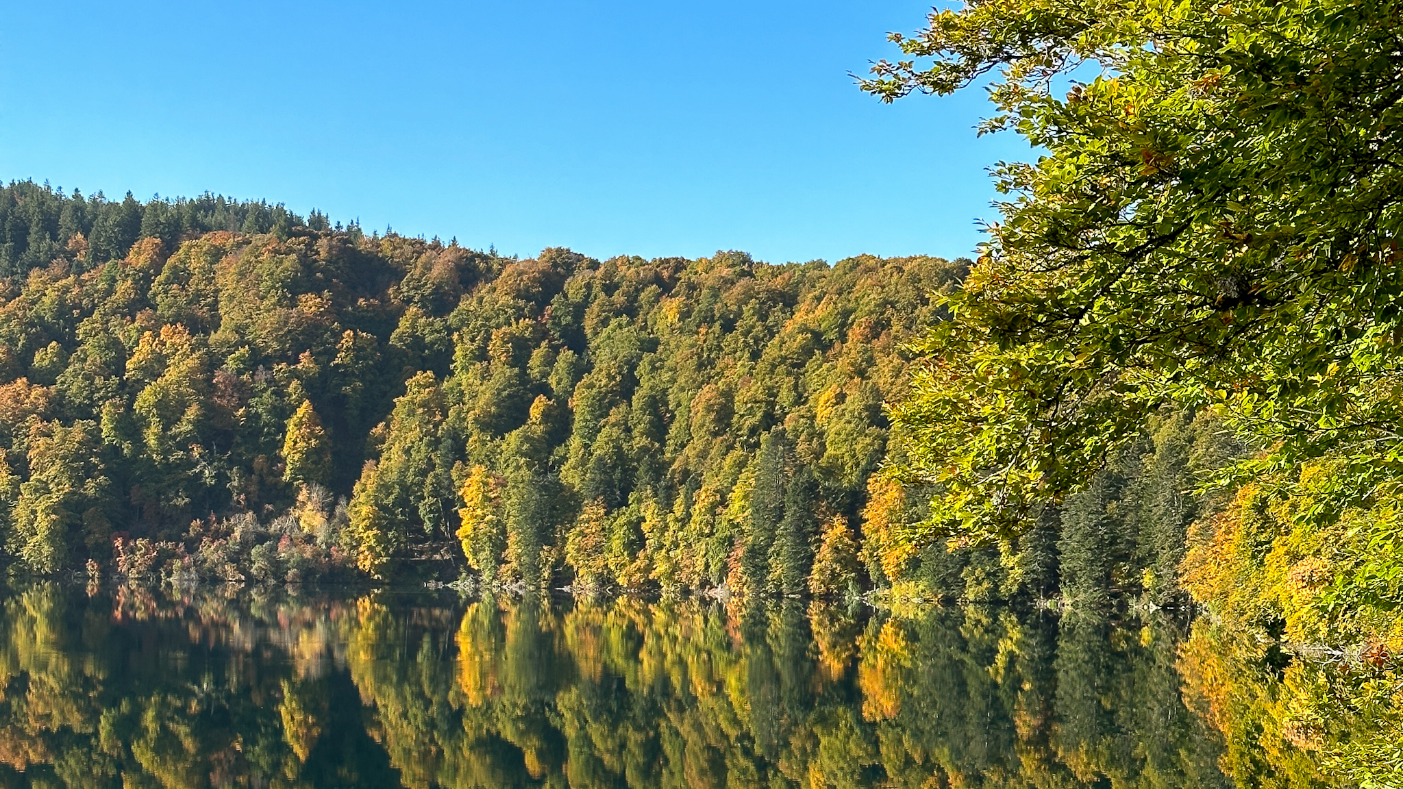The trees are adorned with fall colors at Lac Pavin