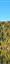 The trees are adorned with fall colors at Lac Pavin