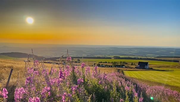 Climb to the Summit of the Banne d'Ordanche for the Sunset