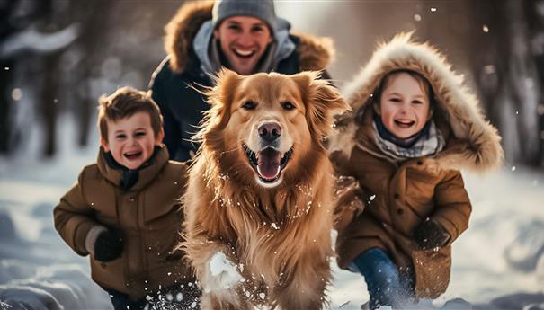 Pet-friendly vacation rental
