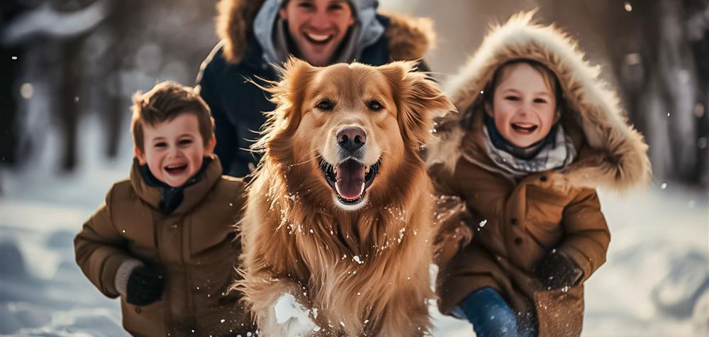 Pet-friendly vacation rental
